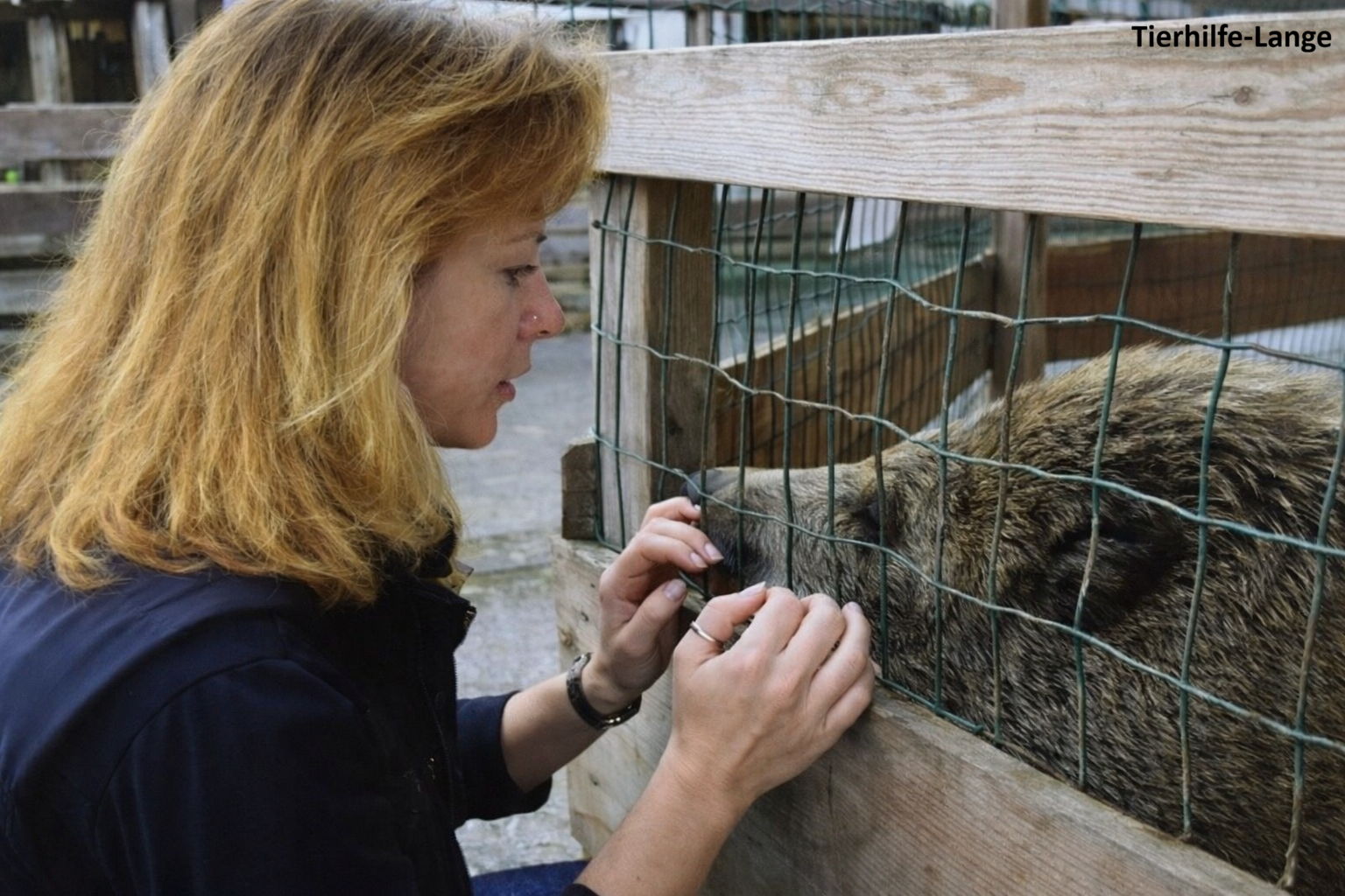 Tierhilfe-Lange